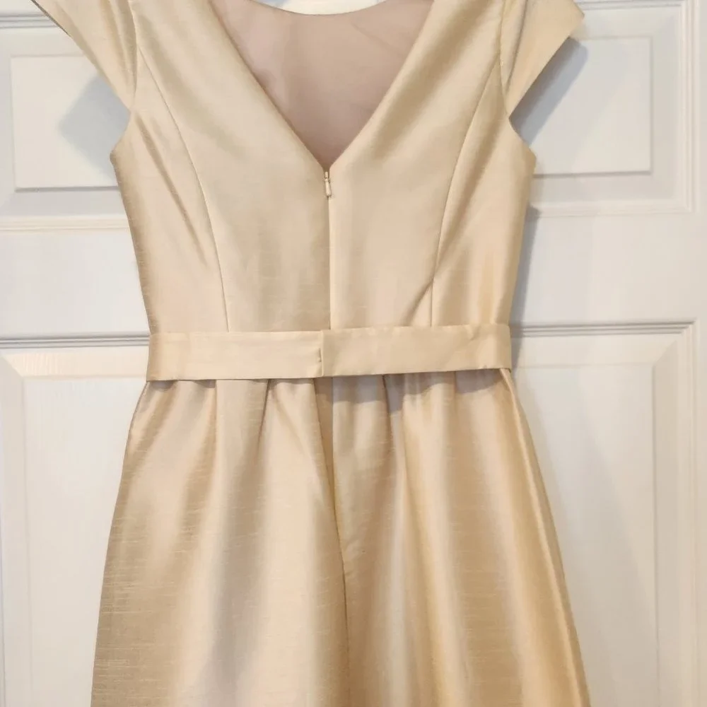 Alfred Sung Dress Champagne color_Like New - Picture 7 of 10